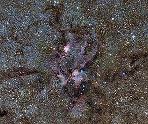 Sweeping the Dust from a Cosmic Lobster