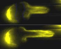 Stem Cell Nuclei Are Soft Hard Drives
