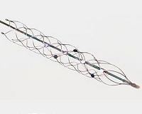 Minimally Invasive Stentrode Shows Potential as Neural Interface for Brain