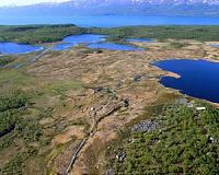 Recently discovered microbe is key player in climate change