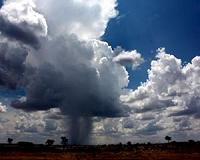 Predicting which African storms will intensify into hurricanes