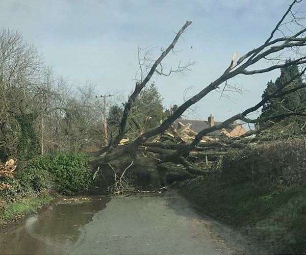 16 dead as Storm Eunice, hits power, transport in W.Europe