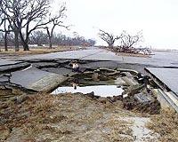 Researchers Apply Agrciultural Shelterbelt Design To Coastal Tsunami Protection