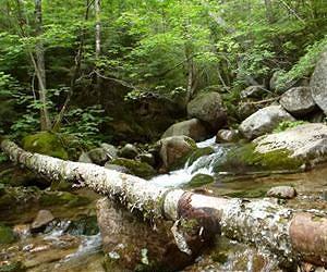 Long-term research reveals how climate change is playing out in real ecosystems