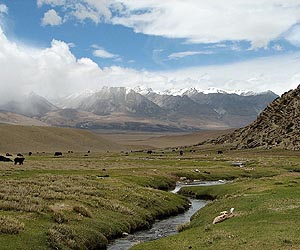 Award-winning Tibetan writer denied China passport