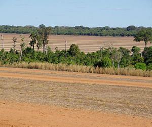 31 percent of timber, mining, agriculture concessions in 12 nations overlap with local land rights