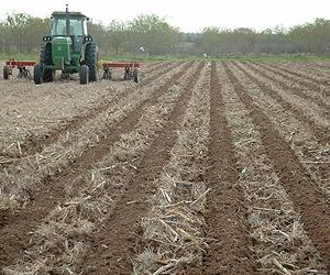 Soils of U.K., Europe drying out