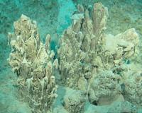 Microbial Mats Offer Clues To Life on Early Earth