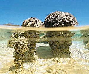 Stepping Stones Through Time