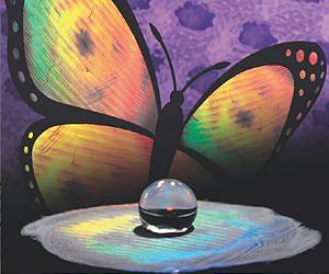 Penn Researchers Find New Way to Mimic the Color and Texture of Butterfly Wings