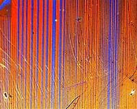 Superconductor survives ultra-high magnetic field
