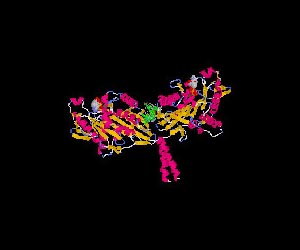 Scientists Discover How Molecular Motors Go Into Energy Save Mode