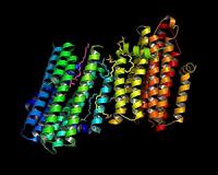 Scientists blueprint tiny cellular 'nanomachine'
