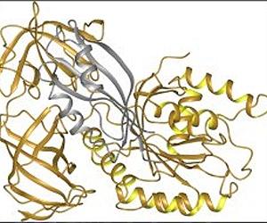 Prions play powerful role in the survival and evolution of wild yeast strains