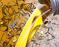 Researchers prolong life by curbing common enzyme