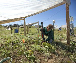 Antibiotic-eating bug unearthed in soil