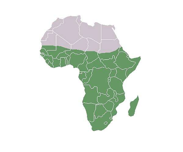 Urgent need to address 'regulatory void' for online gambling across sub-Saharan Africa - new study