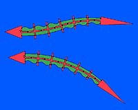 Future Submarines May Swim Like A Fish