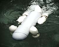 Monitoring Baleen Whales With Autonomous Underwater Vehicles
