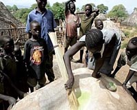 Dinner is grass in South Sudan after drought kills crops