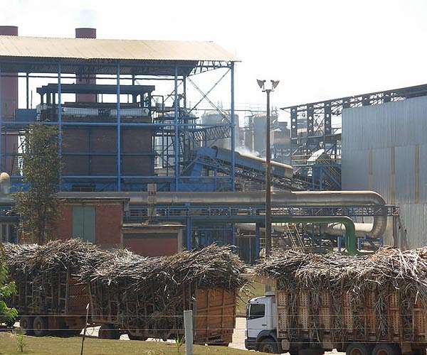 Sugar prices hit 13-year high due to El Nino fallout: FAO