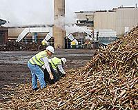 Brazil pins renewable energy hopes on 2nd generation ethanol