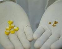 Chinese man stole protected seeds from major US firms