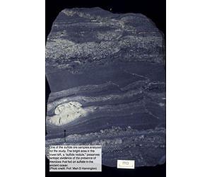Mining ancient ores for clues to early life