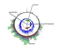 Warwick researchers create 'sun clock' using 200 years of sunspot observations