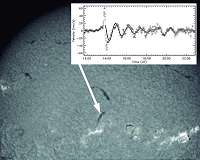How solar prominences vibrate