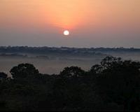 Warm nights could flood the atmosphere with carbon under climate change