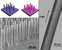Invention Found To Grow Superconducting And Magnetic Nanocables