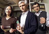 Researchers Develop the First Plastic Superconductor