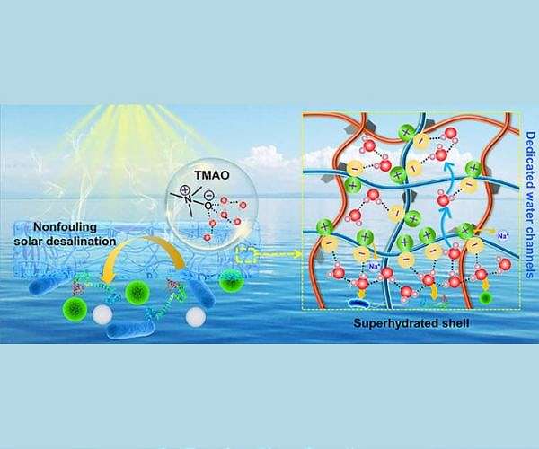 Salt rejecting hydrogel design targets long life solar desalination