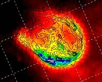 Cosmic Cockroaches