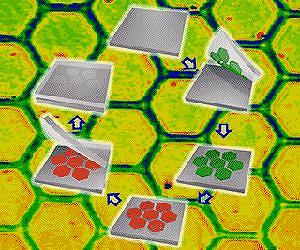 Nature Materials Study: Boosting Heat Transfer With Nanoglue