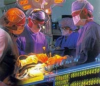Reconstructive Surgeon Aims for Rejection-Free Limb Transplantation