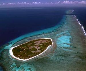 Island biodiversity in danger of total submersion with climate change