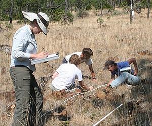 Low Elevations Hold Climate Surprises
