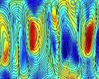 Swirling swarms of bacteria offer insights on turbulence
