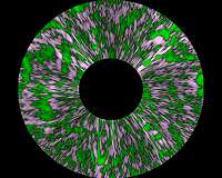 High-Fidelity Images of Sun's Atmosphere Show Structured, Dynamic Corona