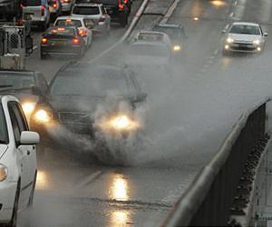 Curbing car travel could be as effective as cutting calories