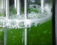 Tapping the unused potential of photosynthesis