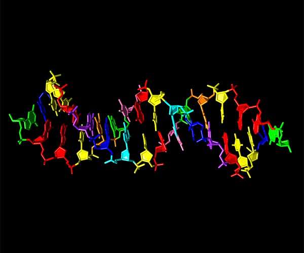 DNA-based molecular tagging system could replace printed barcodes