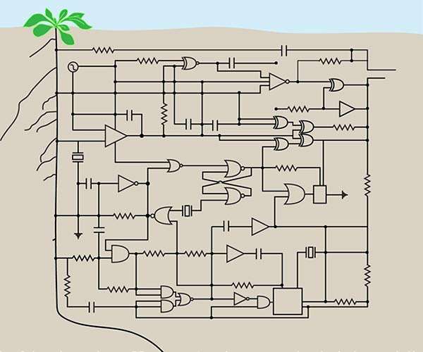 Synthetic genetic circuits could help plants adapt to climate change
