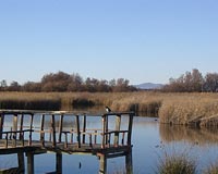 Underground fires raging in Spanish wetlands: expert
