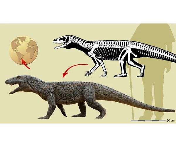 Ancient armored reptile uncovered as Triassic period crocodile ancestor