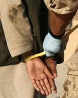 Habeas May Stymie Torture Deal