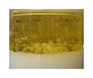 Metabolic Process For Synthesis Of Biofuels And Biochemicals From Fatty Acids