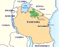 Algeria envisions joint energy efforts with Tanzania